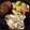Kimberly Brown's cooksnap of when they made Awesome chicken.