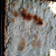 El cooksnap de Alejandra EF cuando hizo Tarta de ricotta con pasas.