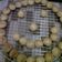 Cooksnap dari elvira Agustina untuk resep Kue Nastar