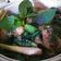 Cooksnap dari fera nidya untuk resep Ayam daun Kemangi