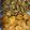 Zobia Sajjad's cooksnap of when they made Mix pakore.