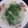 Cooksnap dari nurzakia kia untuk resep Sayur Bayam Bobor
