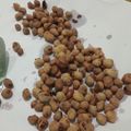 Cooksnap dari Lilis LingLing untuk resep Kacang Telur Ekonomis