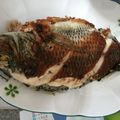 蝦米 的 【厚生廚房】香煎吳郭魚 cooksnap