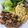 Cooksnap dari Ade Andriani untuk resep Topping Mie Ayam Jamur