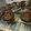Cooksnap dari falen ann untuk resep Banana Chocochips Muffin
