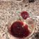 El cooksnap de fermagraf cuando hizo Mermelada de frutilla #2 🍓.