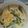 Cooksnap dari inneke afifah fadhilah untuk resep Sayur Lodeh Segar