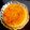 Sushma Savla's cooksnap of when they made Udupi Style Sambhar.