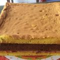 Cooksnap dari Popi Amanda untuk resep Lapis surabaya ekonomis