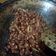 Cooksnap dari Nixma Ilmie untuk resep Sambel teri kacang