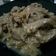 Cooksnap dari Ulla untuk resep Beef Teriyaki