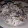 Cooksnap dari Euis susilawati untuk resep Klepon Ubi Ungu
