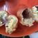 Cooksnap dari novi untuk resep Donat sekali fermentasi