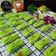 Cooksnap dari Nining untuk resep Sagu Pandan Cookies