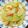 庭秀 的 清炒瓠瓜 cooksnap