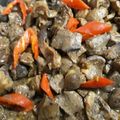 Cooksnap dari farahdiena untuk resep HATI AYAM Masak Kecap