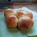 steve.mactaggart's cooksnap of when they made Easy Bread Rolls.