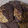 El cooksnap de Yanil Gavini cuando hizo Cookies de Polenta, fácil, rápido y económico.