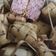 Cooksnap dari Dapur Kakak untuk resep Ketupat beras merah