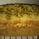 El cooksnap de Rosa María Fernandez Paris cuando hizo Pan integral de semillas con panificadora de lidl.