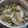 Cooksnap dari Enda Zulfahnie untuk resep 26. Sayur Lodeh Putih tanpa Santan ala Fiber Cream