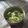 Fabio's cooksnap of when they made Guacamole! Guacamole! Guacamole!.