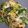 รูป Cooksnap ของ frrrnk เมื่อเขาทำ Linguine sundried tomatoes pesto pasta