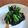 Min-Ju Wang 的 燙空心菜佐黑芝麻醬（純素） cooksnap