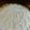 El cooksnap de Yael cuando hizo Lemon pie.