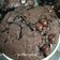 Cooksnap dari Van's Snack & Baverage untuk resep Muffin coklat (no mixer)