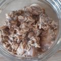 Nancy Lehmann's cooksnap of when they made High-Protein Overnight Oats.