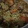 Cooksnap dari Imala Prajuningtyas untuk resep ★ Tongseng Ayam ★