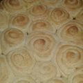 El cooksnap de Maria Dagatti cuando hizo Bizcochos o facturas.