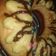 El cooksnap de Mayra cuando hizo Rosca de Pascuas fáciles.