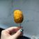 Cooksnap dari purizuka lexis untuk resep Corndog sosis