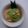 Cooksnap dari Nur Sabatiana untuk resep Serabi Nangka
