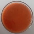 El cooksnap de pilar lucena cuando hizo Salmorejo de sandía en Thermomix.