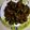 Vaishali Prajapati 's cooksnap of when they made વેજ ડ્રાય મંચુરિયન (Veg Dry Munchurian Recipe In Gujarati).