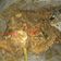 Cooksnap dari A Dian Pratama untuk resep 85. Rendang Sapi (Empuk dan Gurih)