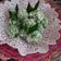 Cooksnap dari lina NH untuk resep Klepon Tepung Ketan