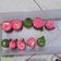 Cooksnap dari Diana Larissa untuk resep Rainbow Cake Gulung