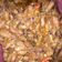 Cooksnap dari Amilida Wulandari untuk resep Sambal bawang baby cumi