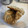 El cooksnap de Cecilia Reggio cuando hizo Galletas de manzana.