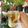 Cooksnap dari 🍹🍕 pawonku 🍜🍚 untuk resep Rebusan Daun Salam | herbal drink hipertensi