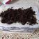 Cooksnap dari Yosi er untuk resep Oreo Cheescake dessert box