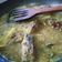 Cooksnap dari Iis Khorina untuk resep Tengiri bumbu kuning