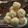 heena's cooksnap of when they made મમરા ના લાડું (Mamra Ladoo Recipe In Gujarati).