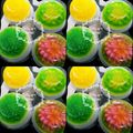 Cooksnap dari erni untuk resep Puding jelly art(cup)