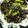 Nina White's cooksnap of when they made Crispy chilli beef with broccoli.